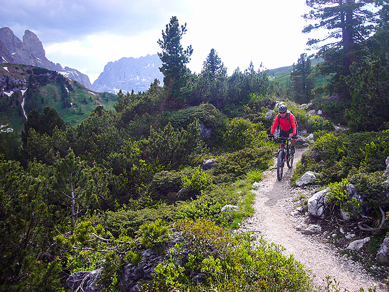 Auf schmalen Pfaden ...