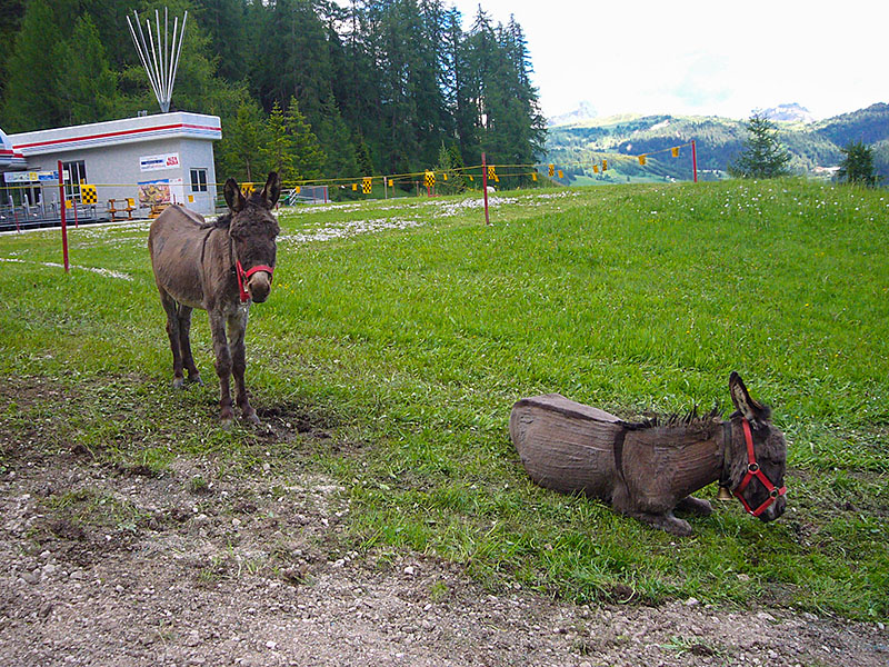 ... denn die "beiden Esel" sind m&uuml;de ;-)
