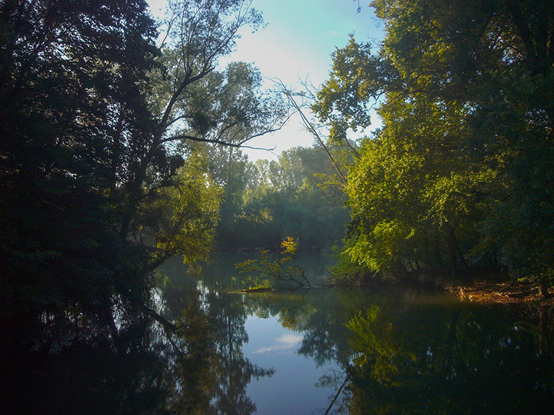 Stille in den Rheinauen