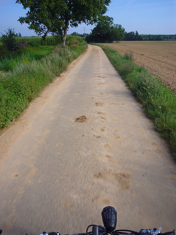 Auf Feld- und Wirtschaftswegen geht es nun nach Speyer weiter