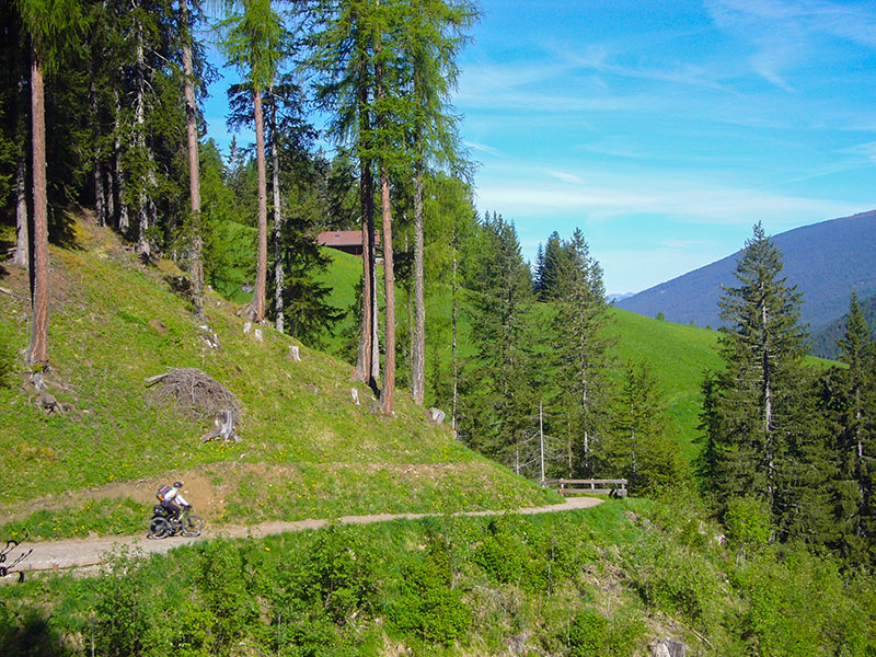 Der Weg führt uns immer weiter hinauf ...