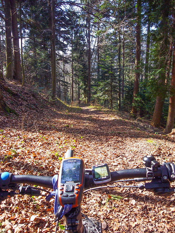 Abfahrt nach Bad Herrenalb
