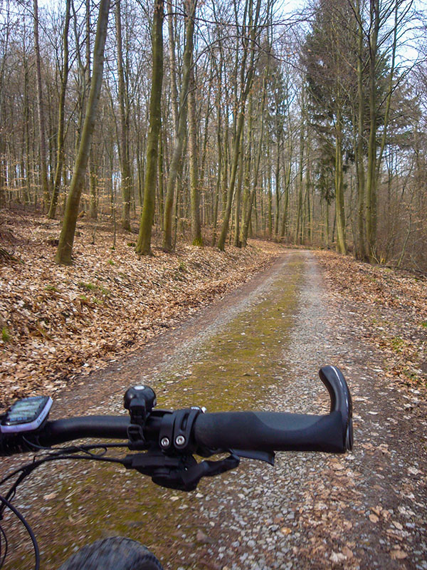 Waldweg bei Spessart