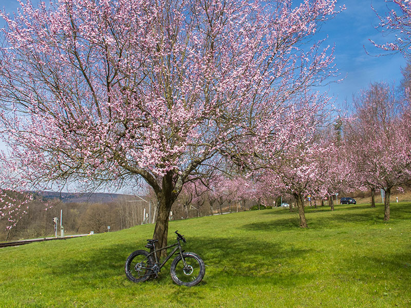 Frühling in Sicht?