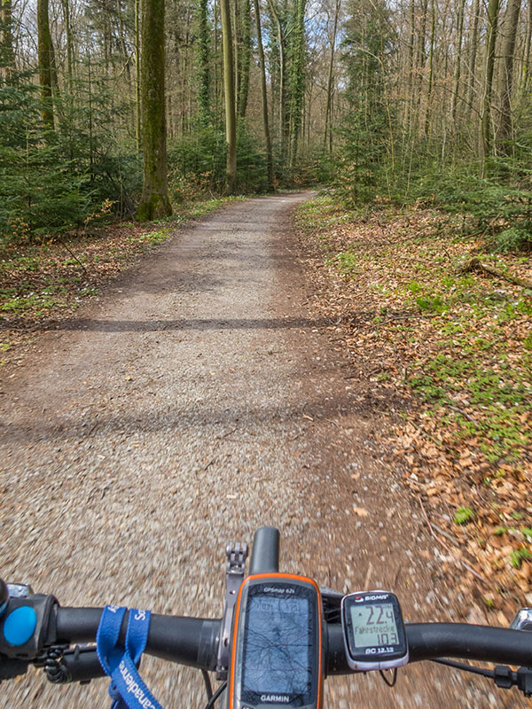 Durch den Wald an der Kohlplatte