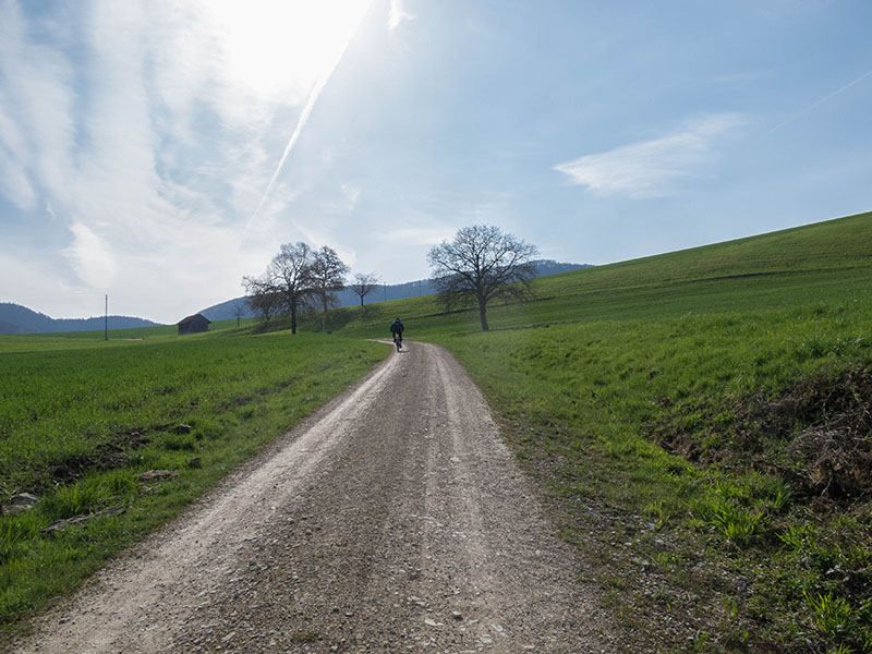 Nun geht es steil bergauf
