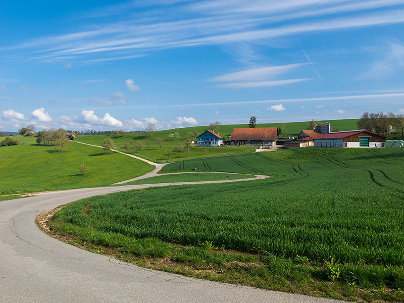 Vorbei am Neuhof ...