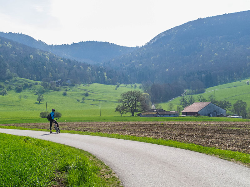 ... rollen wir ins n&auml;chste Tal hinab