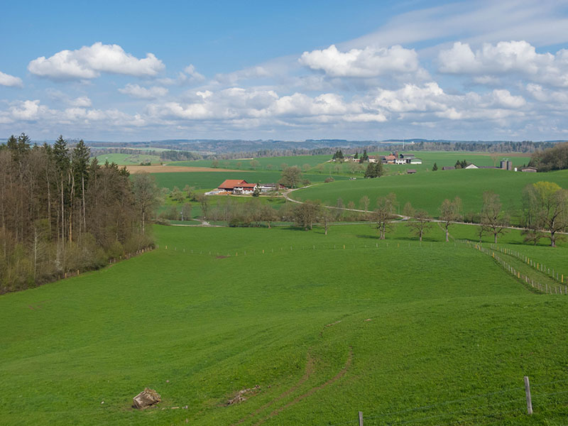 Blick Richtung R&uuml;etisberg