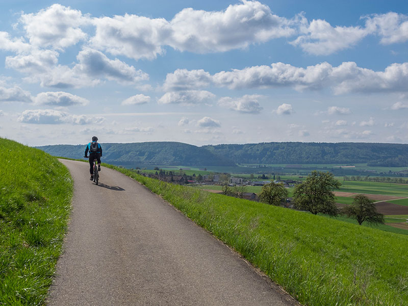 Leider verlieren wir irgendwo den "Radweg 50" ...