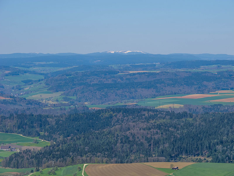 In der Ferne sieht man einen schneebedeckten Gipfel