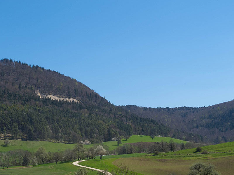 Dort oben sind wir gerade herumgeturnt