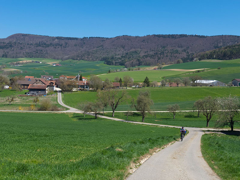 Rauf auf den n&auml;chsten H&uuml;gel ...