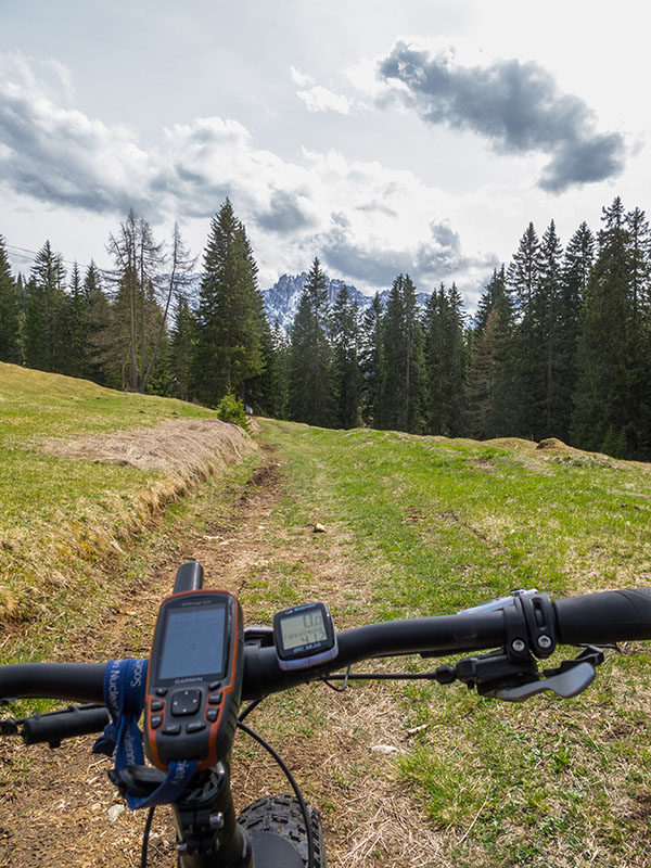 Über einen Wiesenweg holpere ich ins Tal