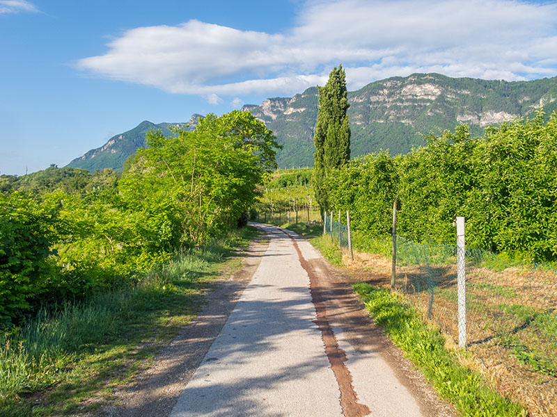 Radweg von Bozen nach Kaltern