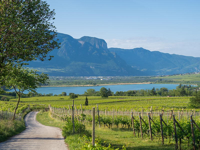 Vor mir der wärmste See der Alpen ...