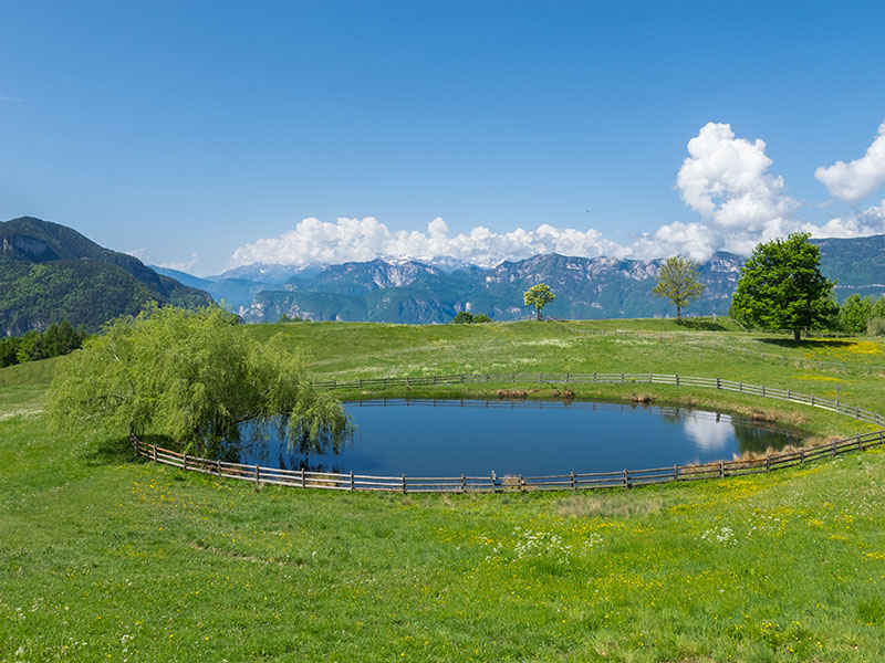 Teich mit Weitblick an der Cisloner Alm