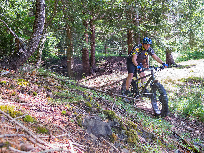 Auf Singletrails rolle ich zurück ins Tal