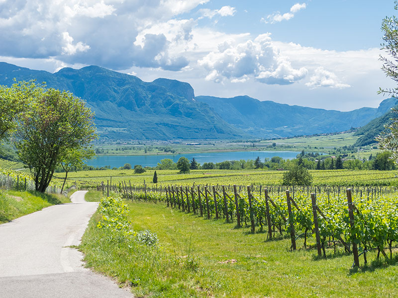 Das erste Stück der Steigung ist geschafft: Blick zurück zum Kalterer See