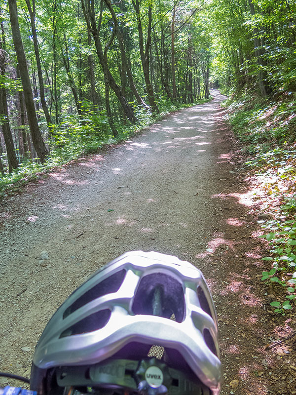 Der Waldweg f&uuml;hrt steil nach oben