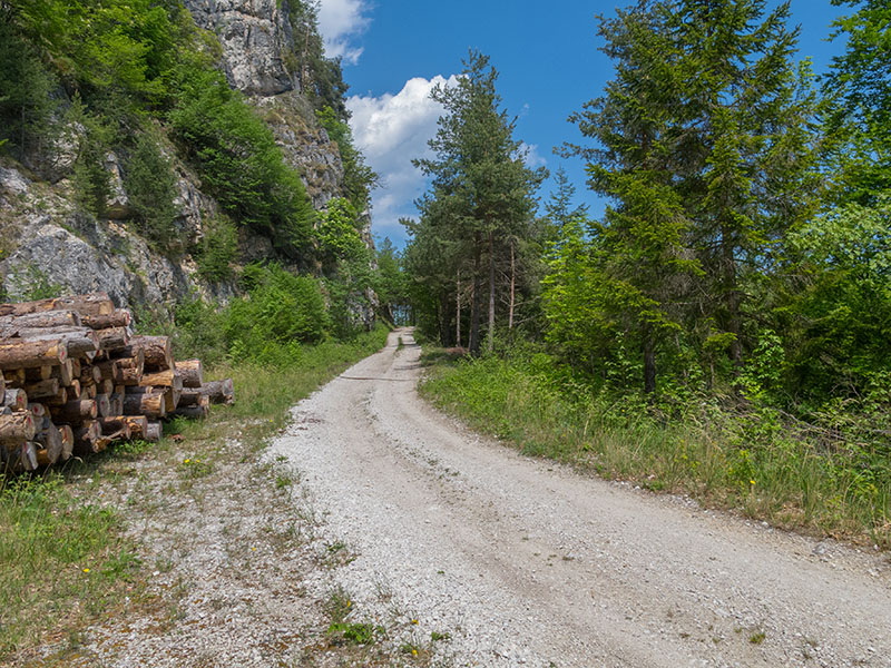 So m&auml;andert der Weg immer weiter nach oben