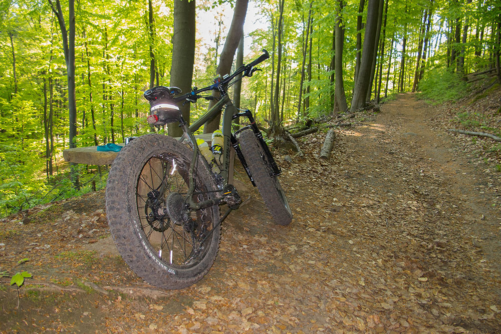 Mit dem Fatty im Wald