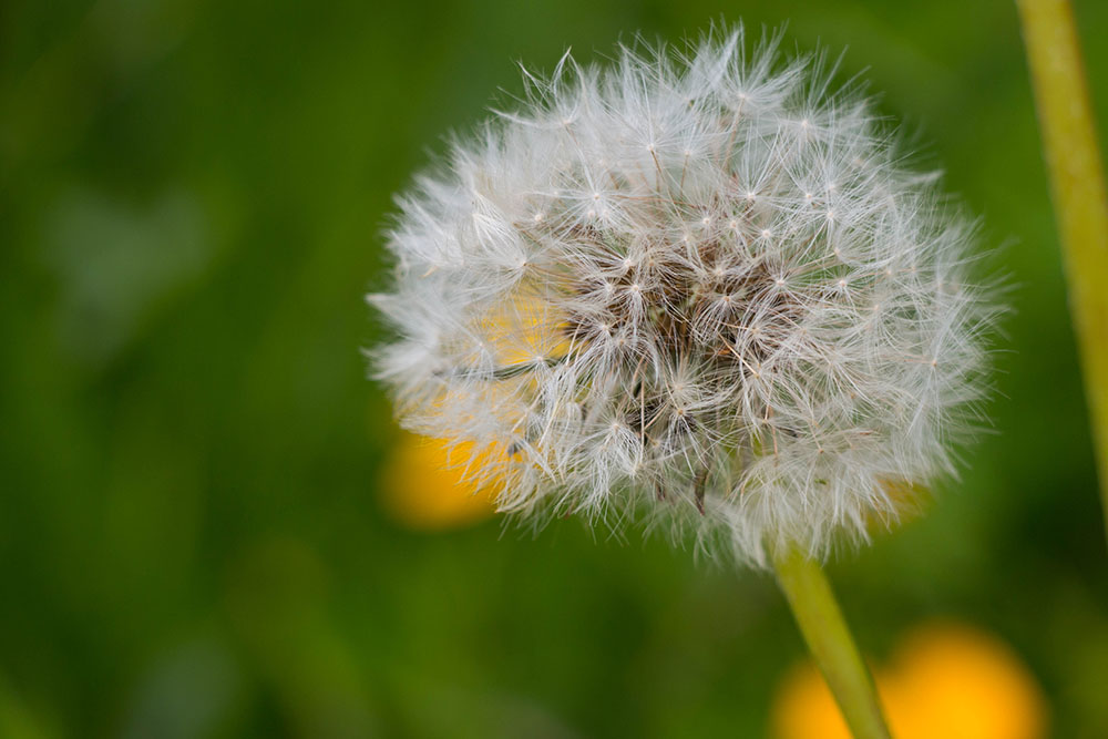 ... begeistern die Wanderer