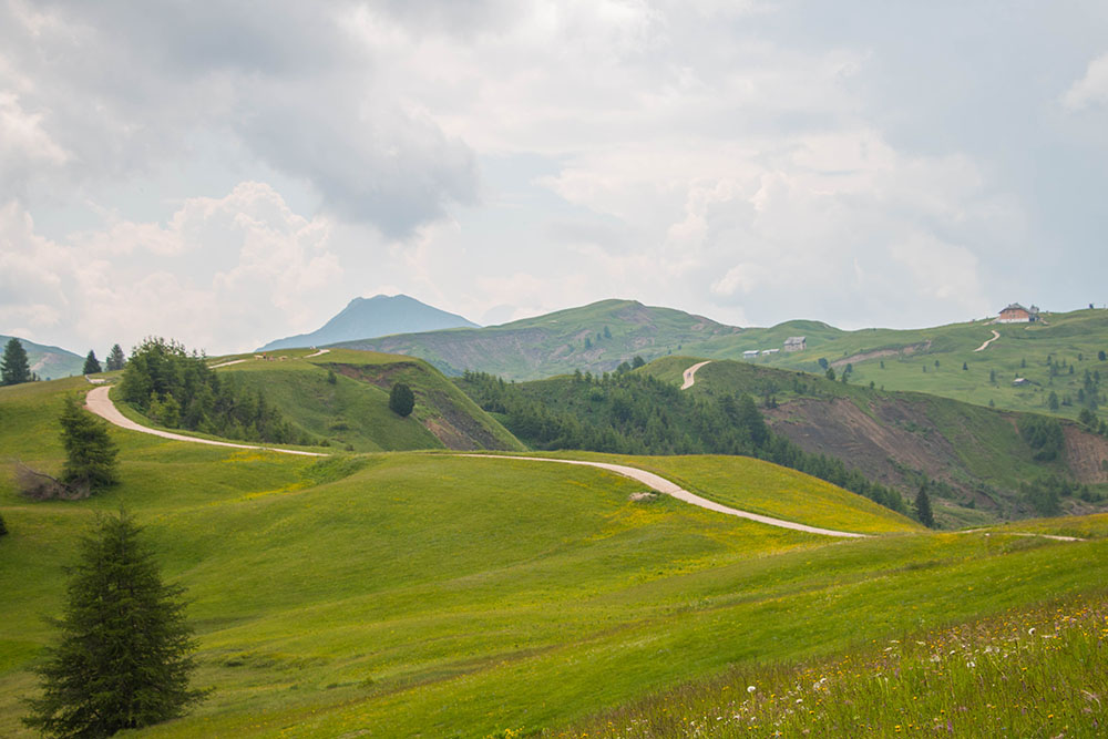 Wanderweg &uuml;ber das Plateau