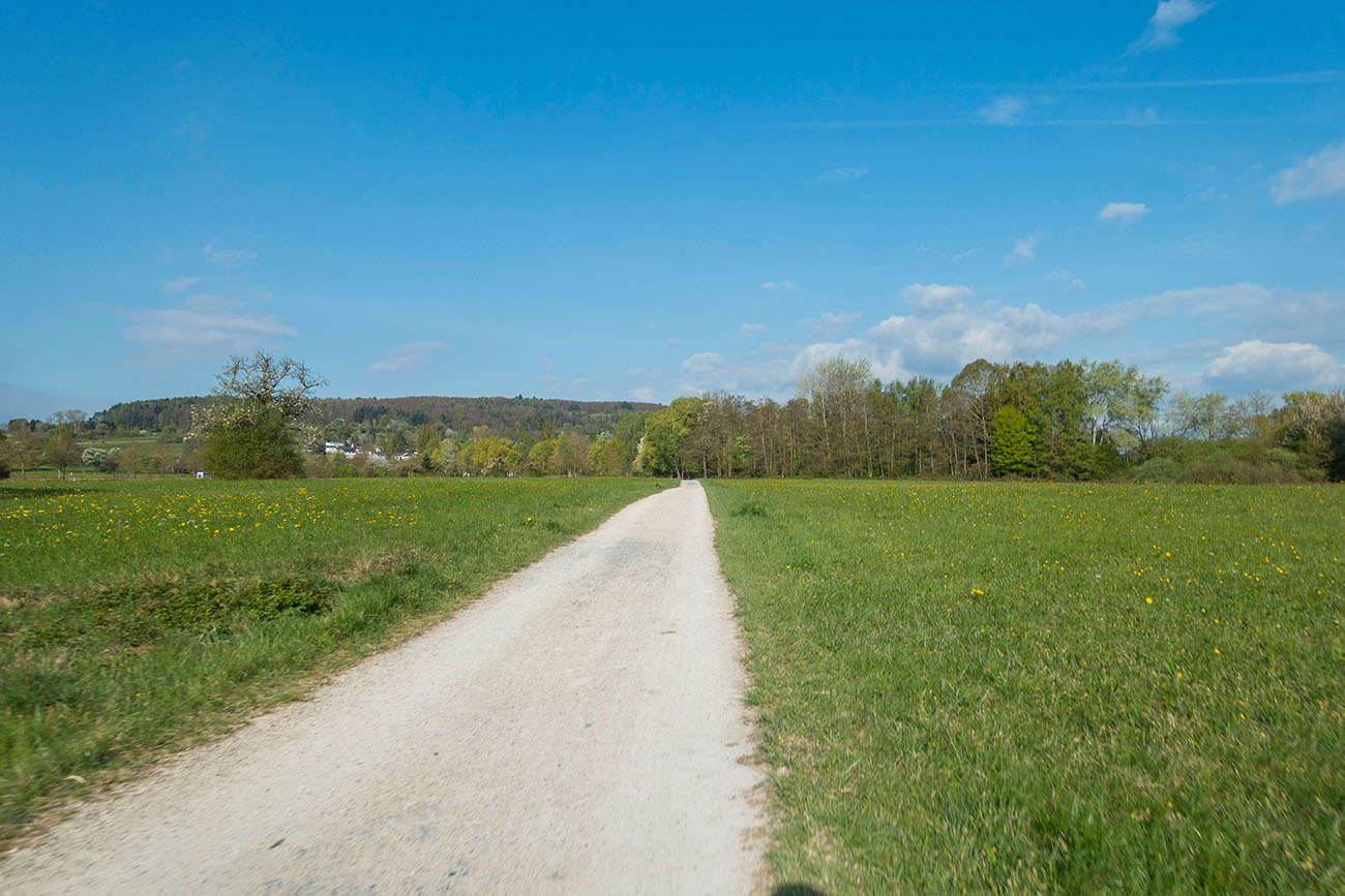 Durch gr&uuml;ne Wiesen ... 