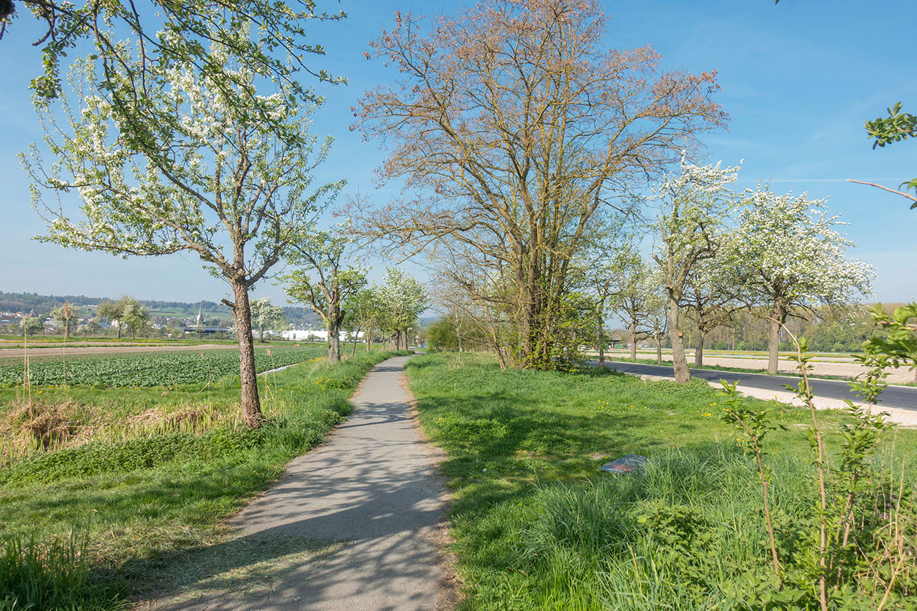 Kurz hinter der Schweizer Grenze 