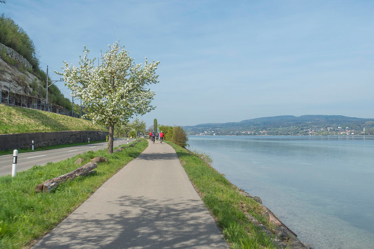 Radweg nach Stein am Rhein 