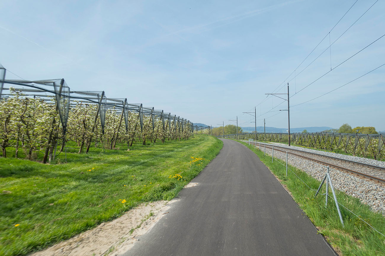 Gleicher Weg ohne Fahrradlenker ;-) 
