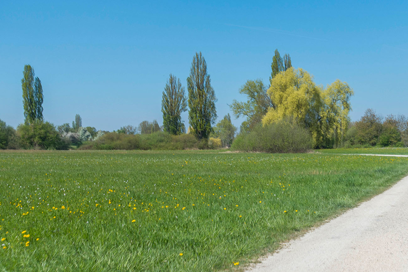 Blau und gr&uuml;n herrschen hier vor 