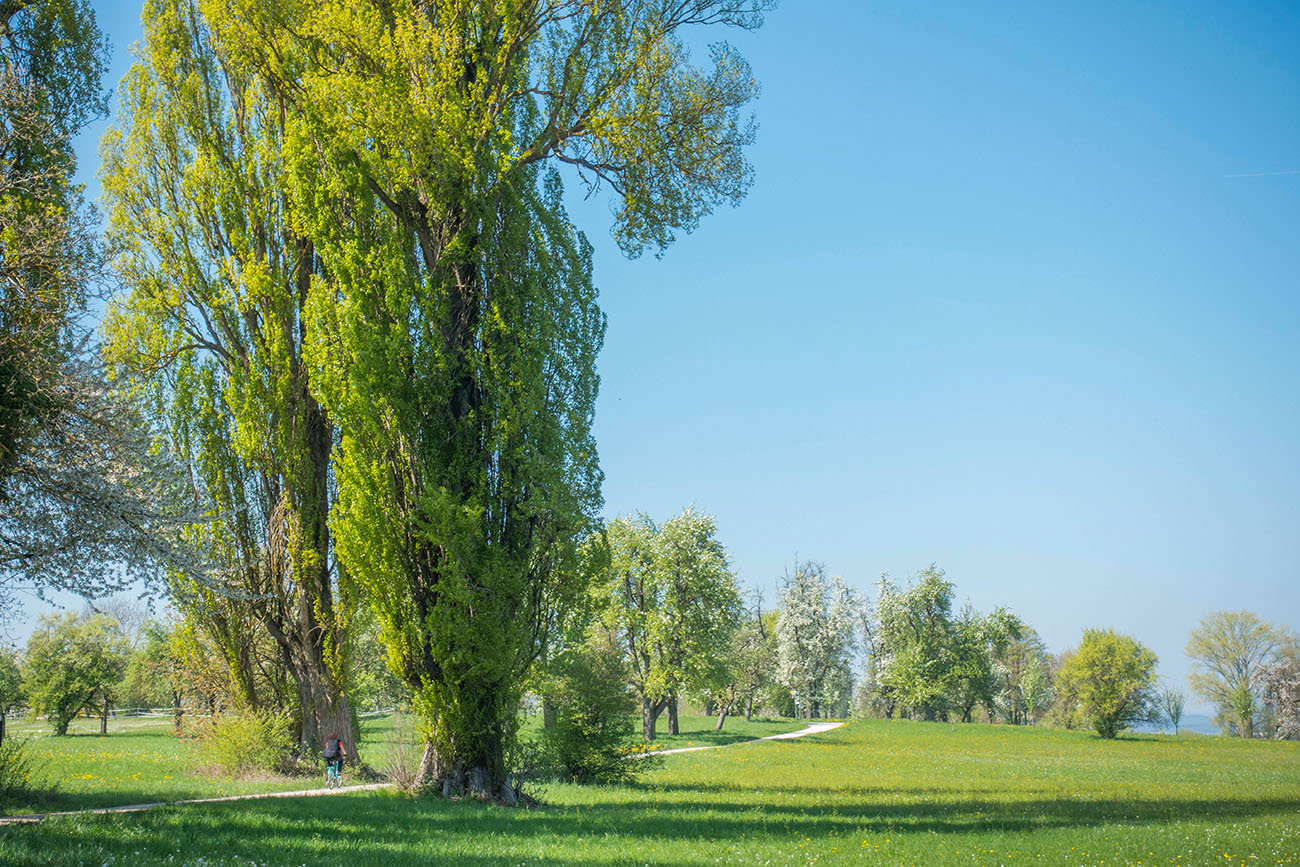Landschaftlich sch&ouml;ner Weg 