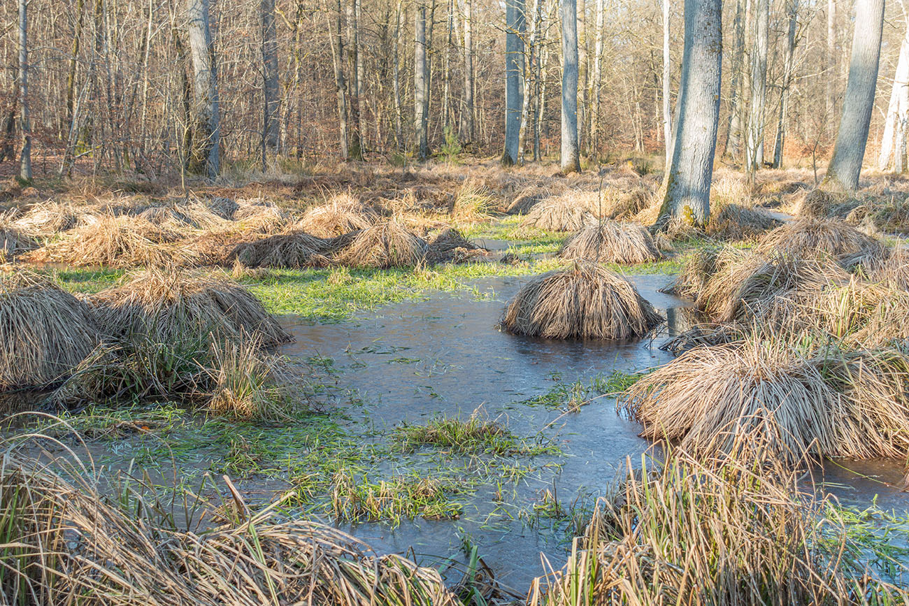 Trotz 15&deg;C (lt. GPS), war noch so manches Eis zu finden 