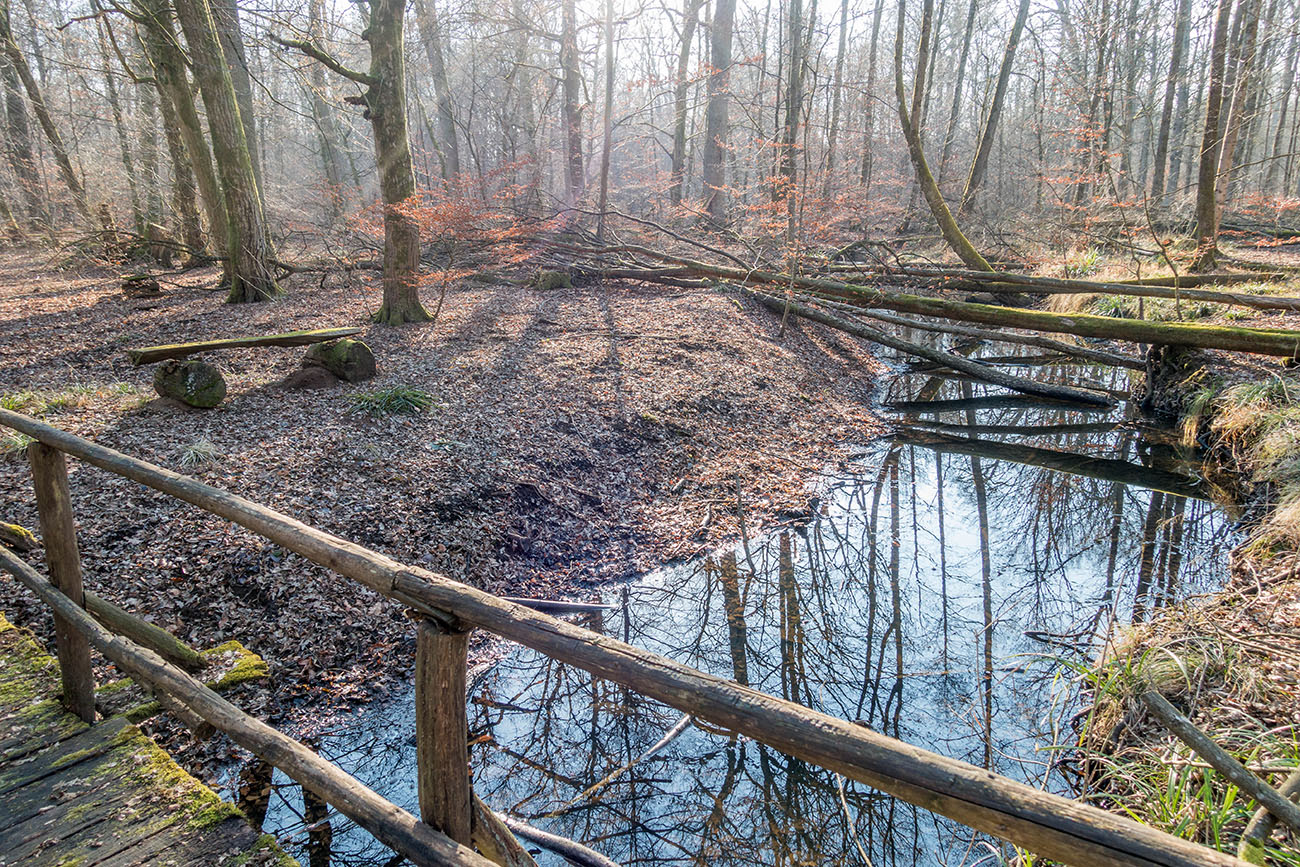 ... letzten Herbst haben mich die M&uuml;cken dort fast aufgefressen :-( 