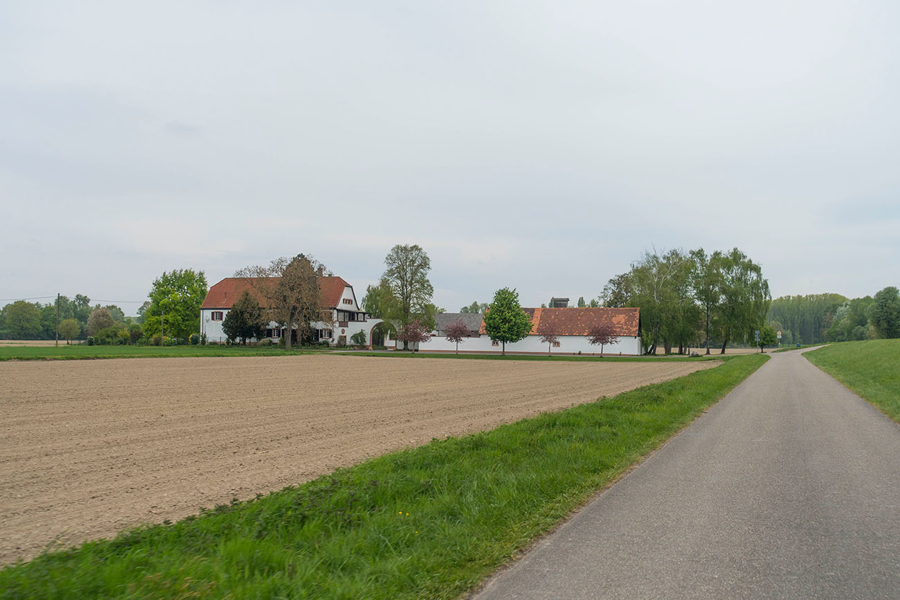 Unterwegs auf dem Rheindamm-Radweg 