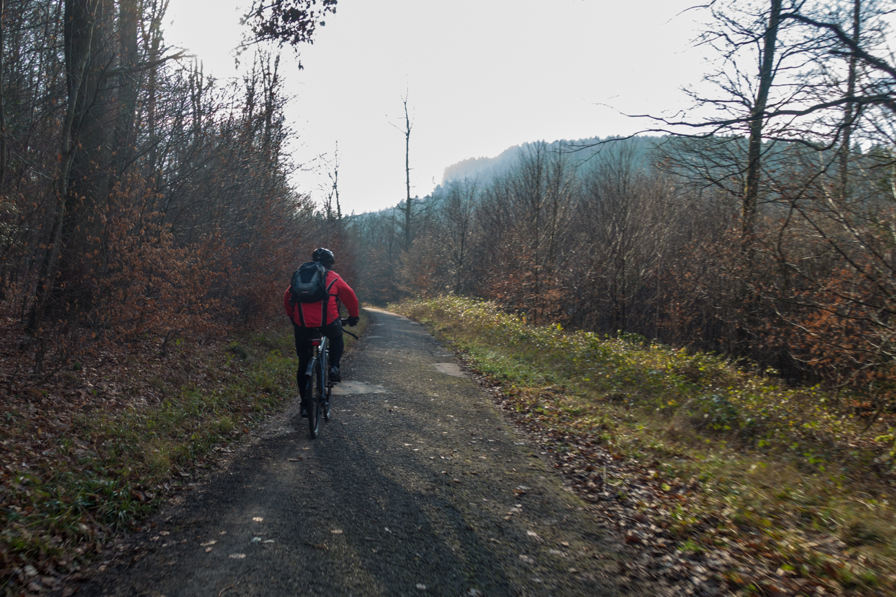 Auf dem Albtal-Radweg