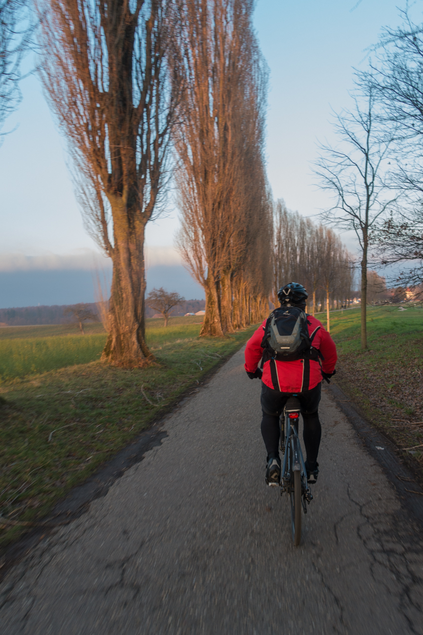 Und jetzt bergab bis nach Durlach ;-)