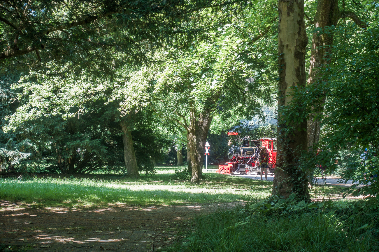 Dampflok im Schlosspark