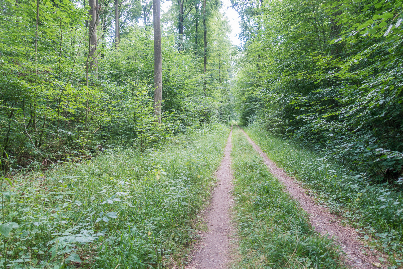 Die vielen Wege lassen mich zuerst etwas herumirren