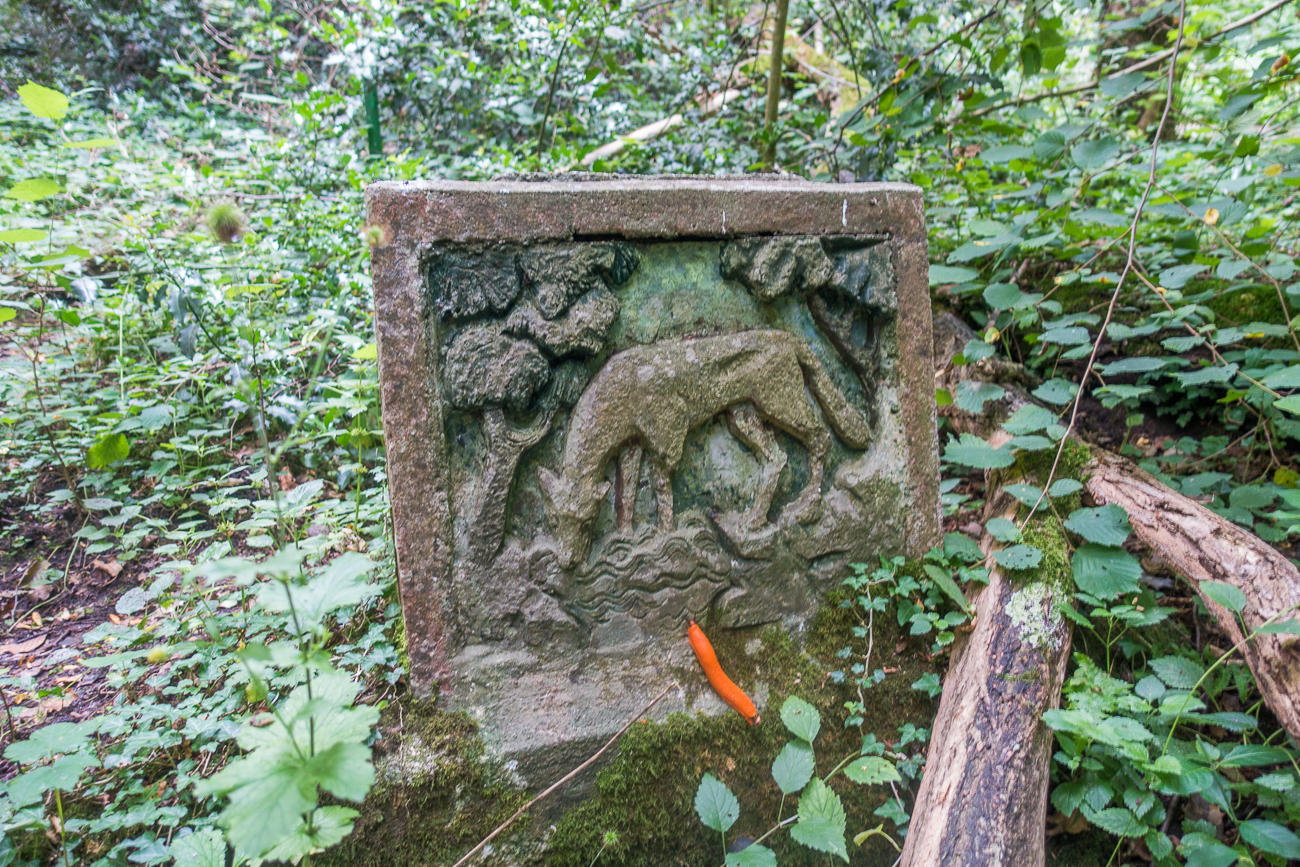 ... die leider ziemlich zugewachsen ist