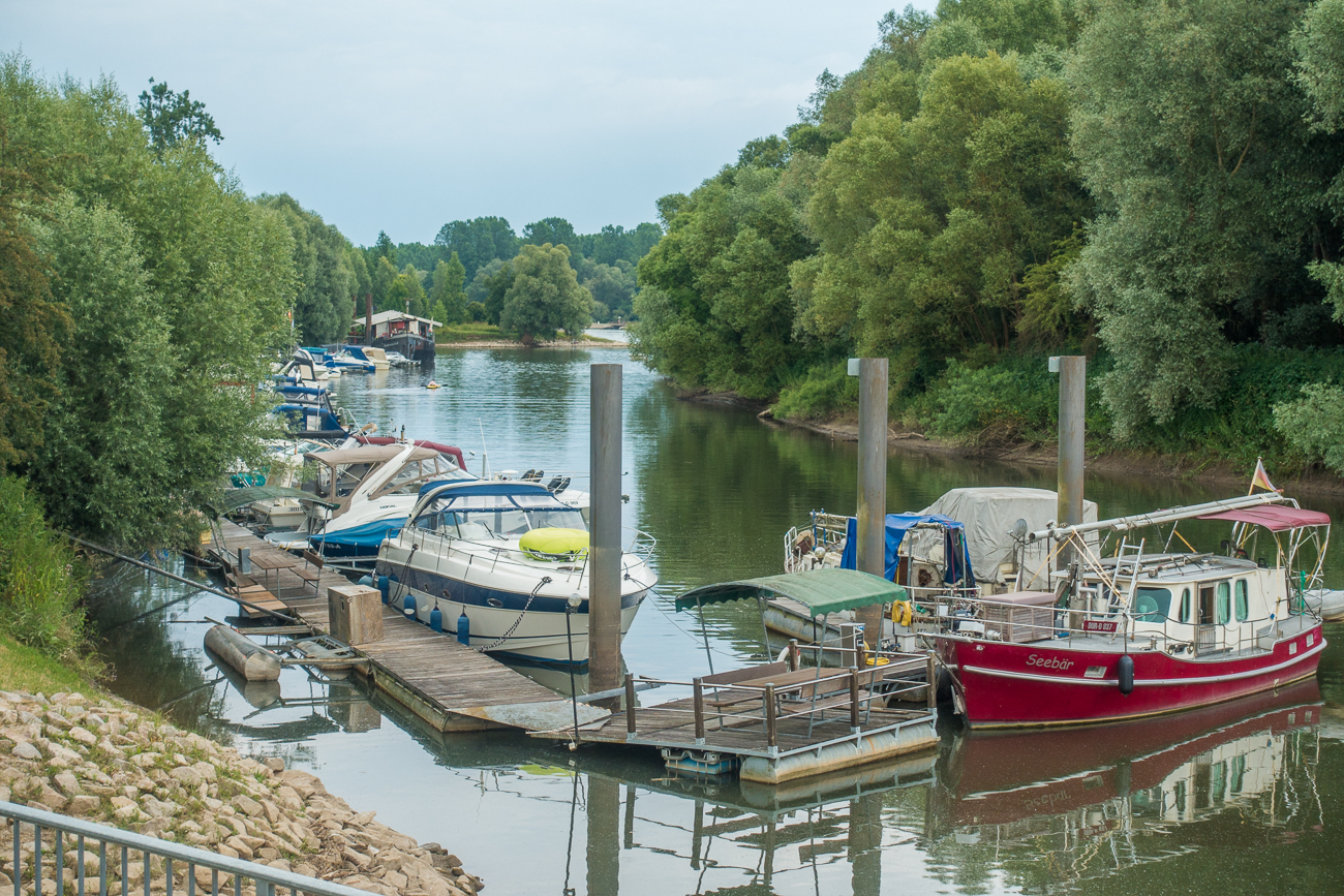 An einem Altrheinarm