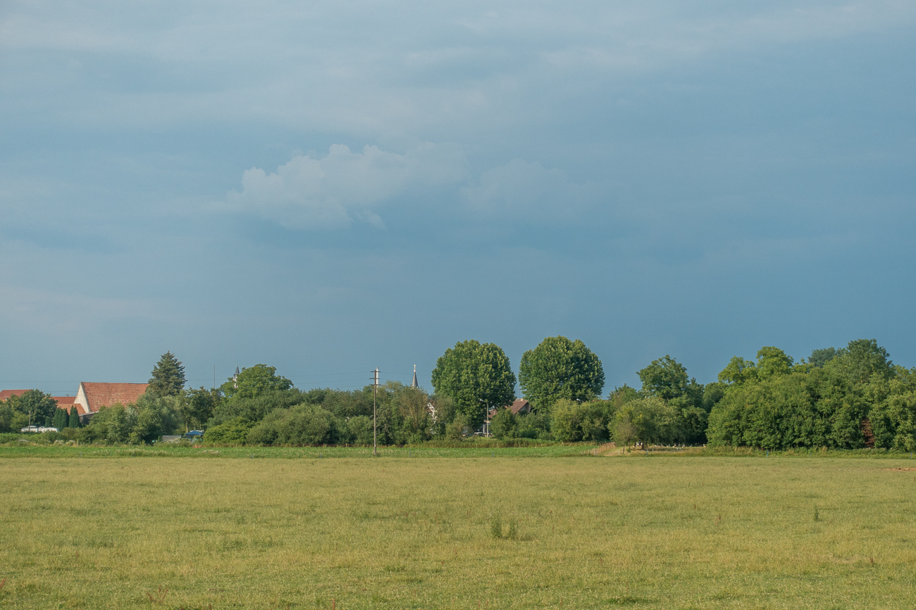 Maximiliansau in Sicht