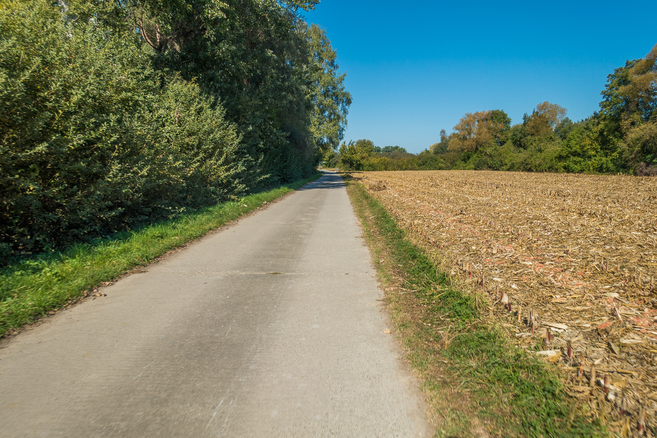 Auf einem Wirtschaftsweg ...