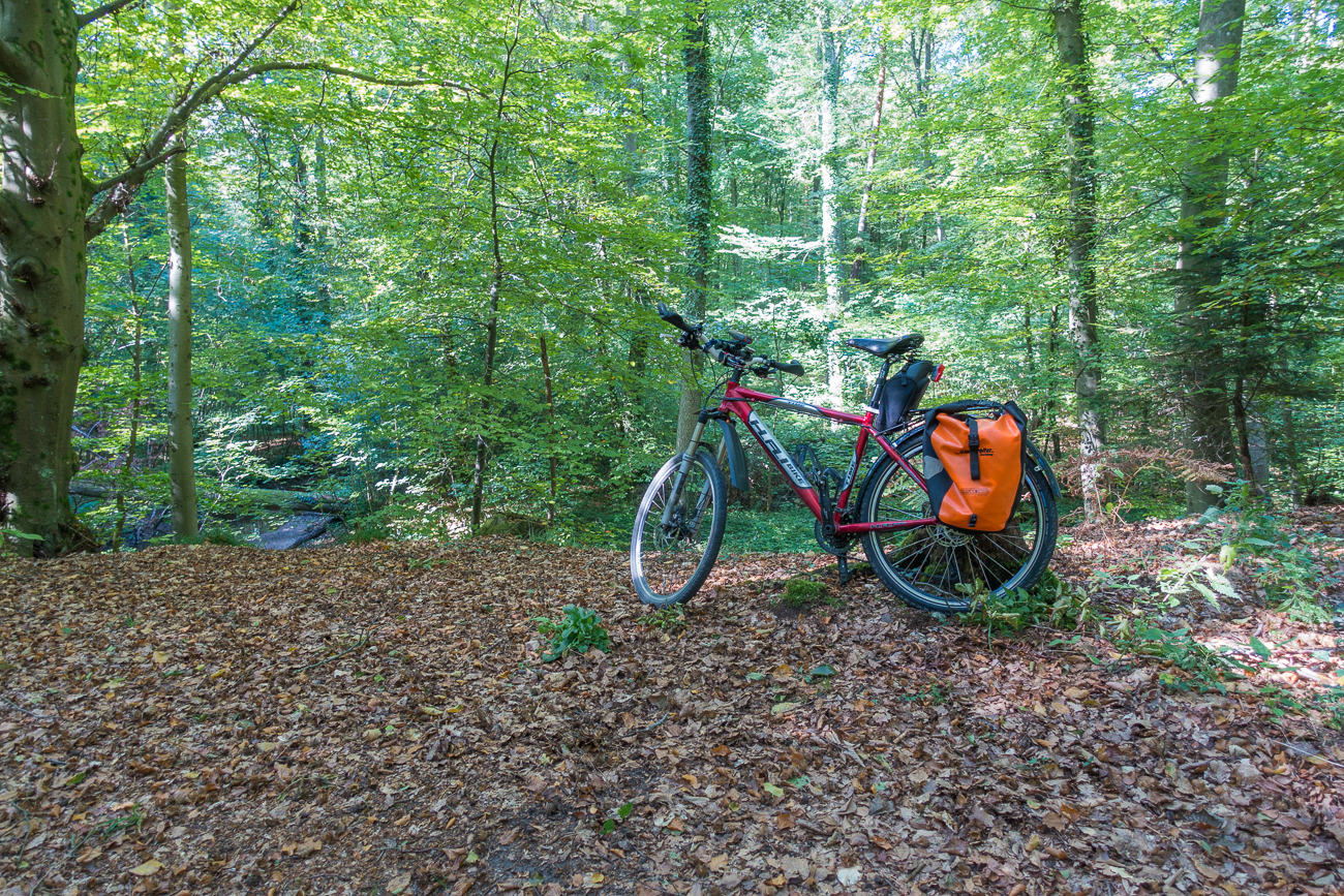 Im Kandeler Staatsforst