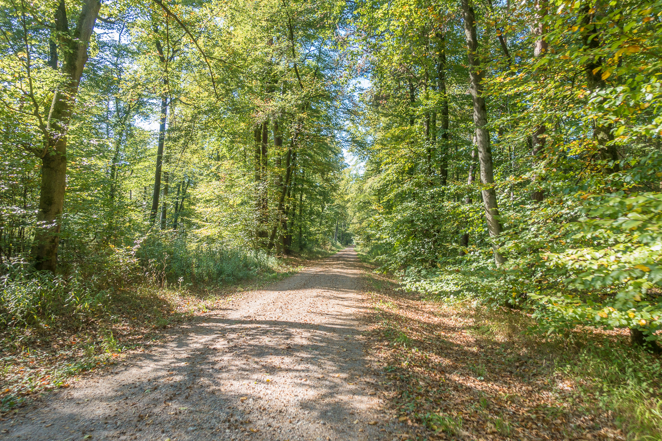 An Jockgrim vorbei ...