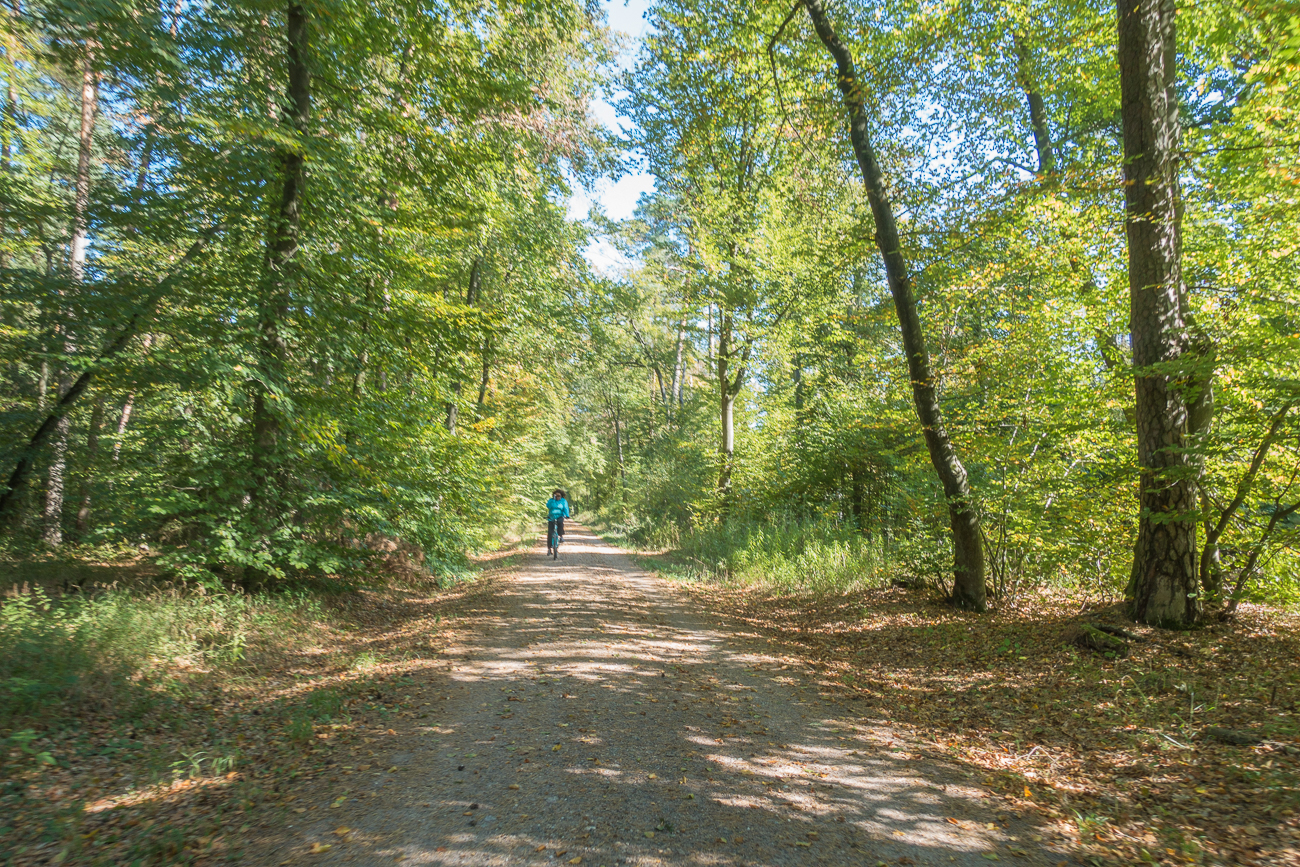 ... fahren wir durch den Wald