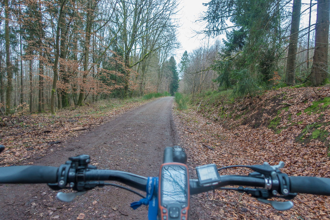 Breiter Waldweg bei Ottweiler 