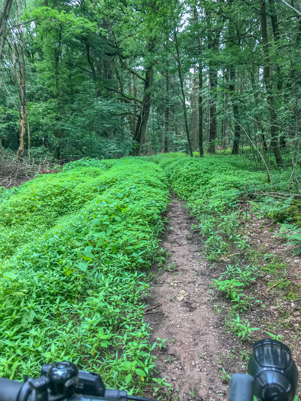 Und da jetzt mit kurzen Hosen durch